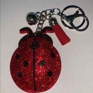 Ladybug purse/bag charm Keychain with tassel
